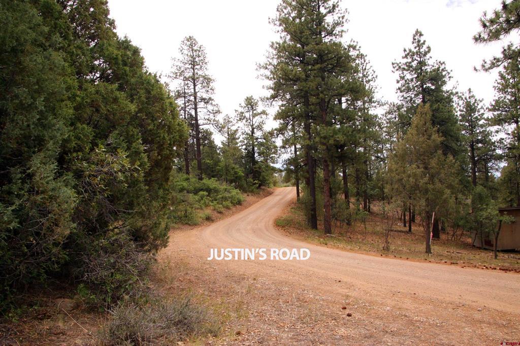 543 Justin's Road Pagosa Springs CO 81147