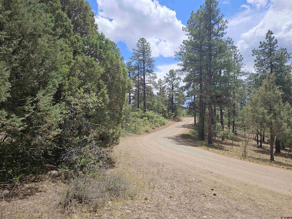 543 Justin's Road Pagosa Springs CO 81147