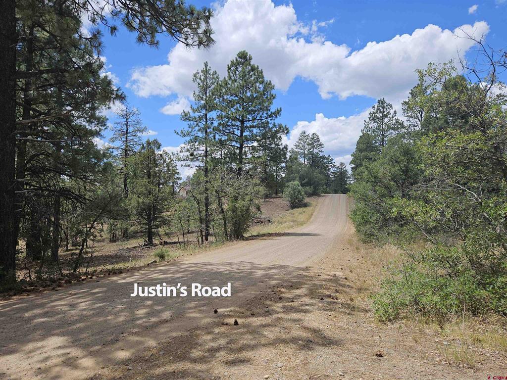 543 Justin's Road Pagosa Springs CO 81147