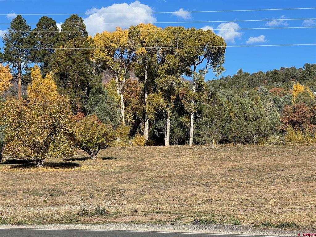 5 County Road 201 Durango CO 81301