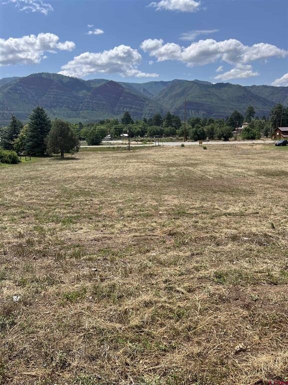 5 County Road 201 Durango CO 81301