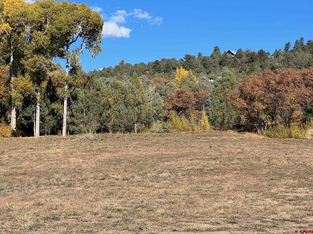 5 County Road 201 Durango CO 81301
