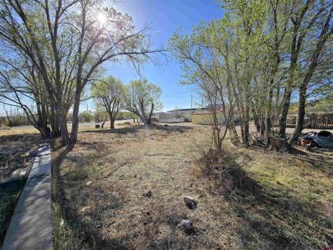 1035 8TH Del Norte CO 81132
