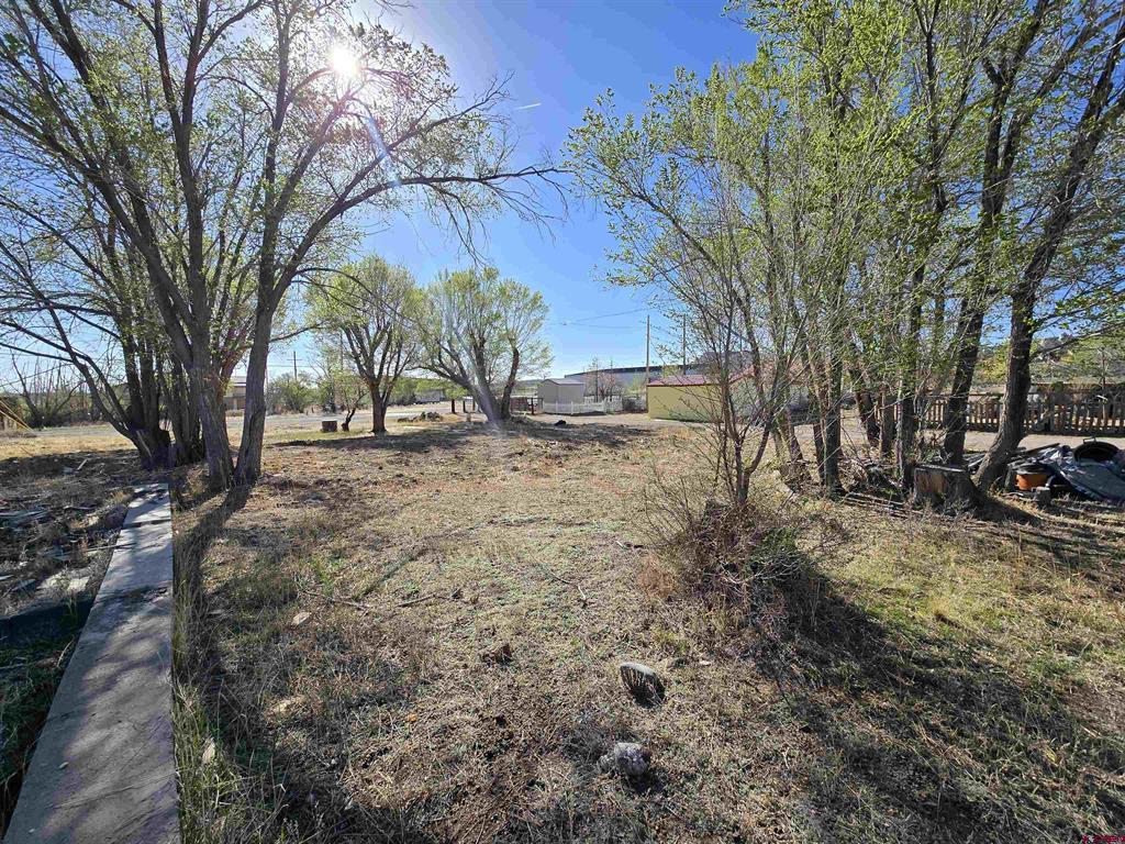 1035 8th Street Del Norte CO 81132