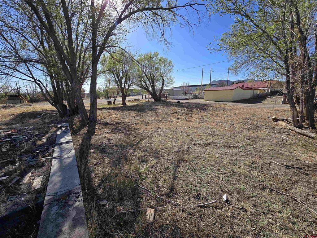 1035 8th Street Del Norte CO 81132