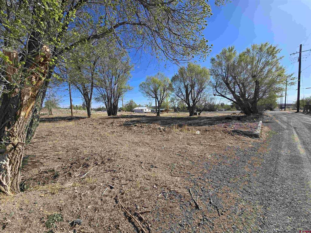 1035 8th Street Del Norte CO 81132