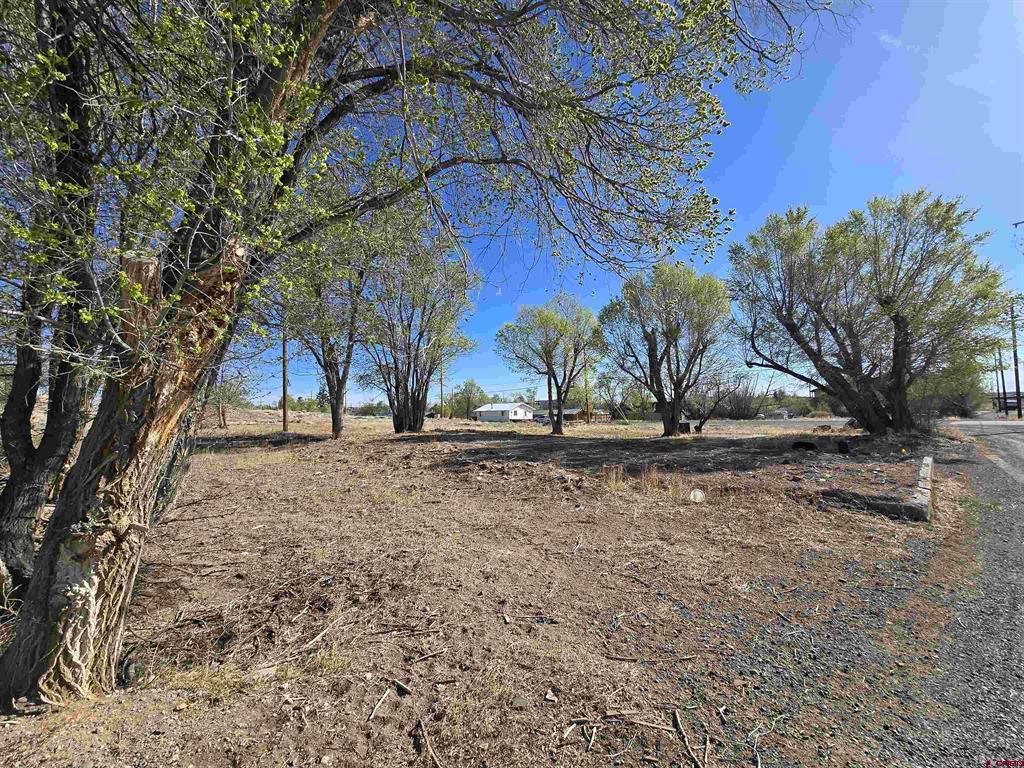 1035 8th Street Del Norte CO 81132