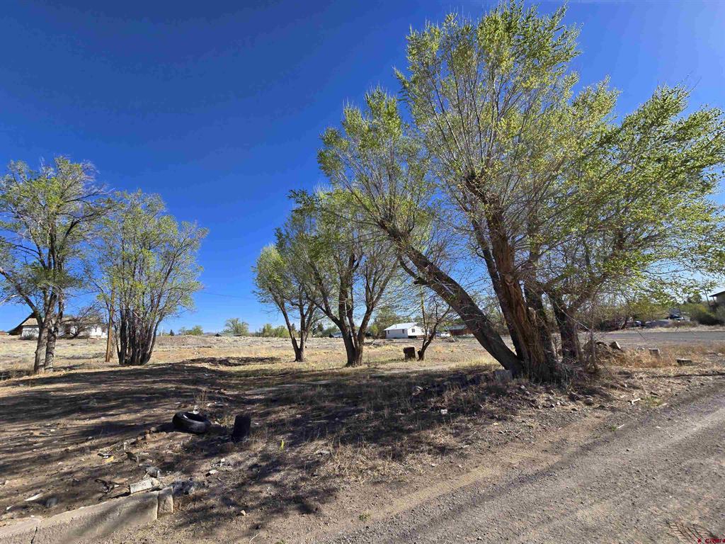 1035 8th Street Del Norte CO 81132