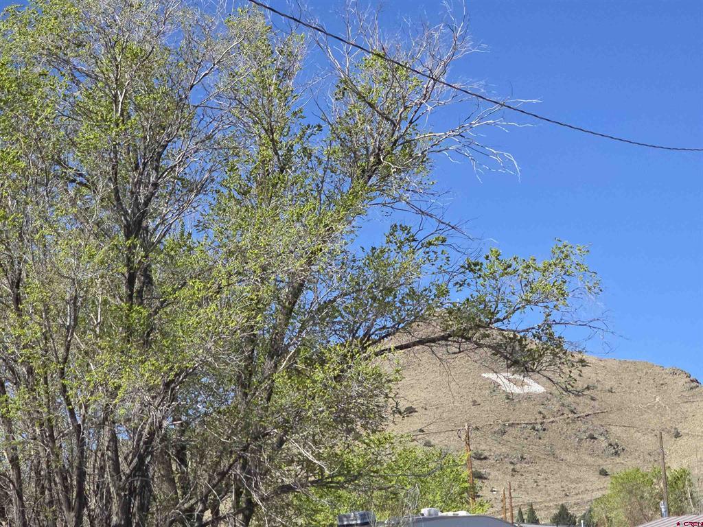 1035 8th Street Del Norte CO 81132