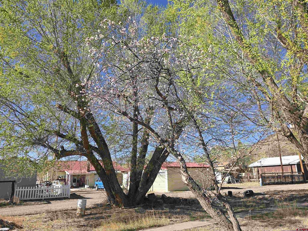 1035 8th Street Del Norte CO 81132