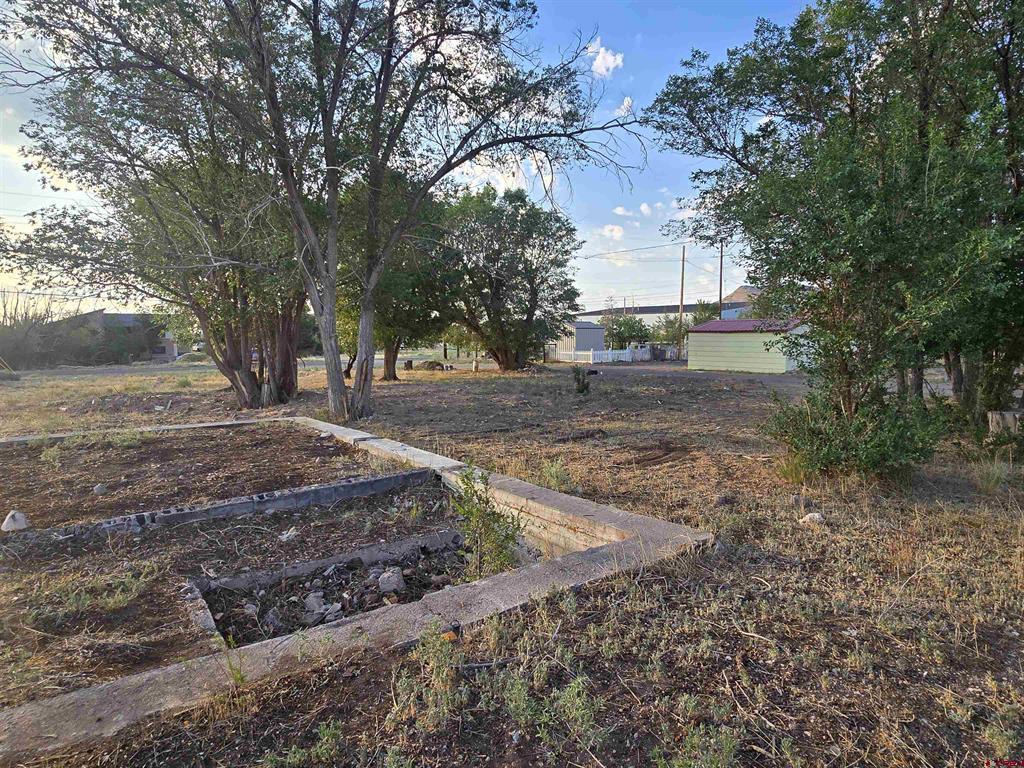 1035 8th Street Del Norte CO 81132
