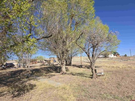 1035 8TH Del Norte CO 81132