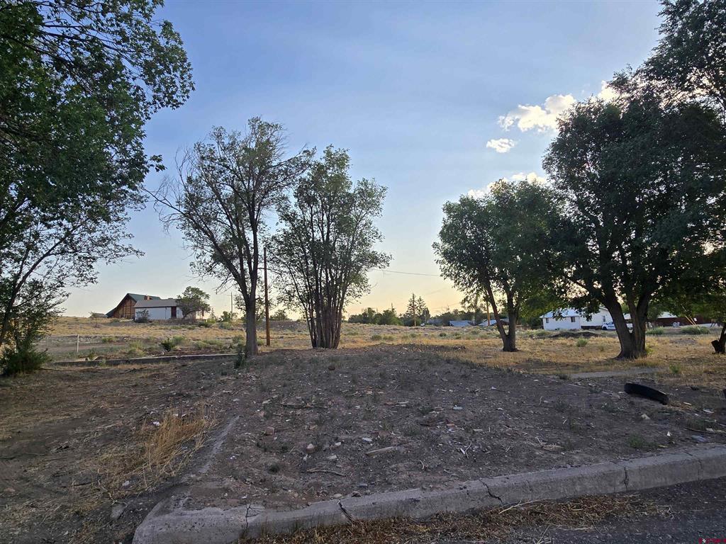 1035 8th Street Del Norte CO 81132