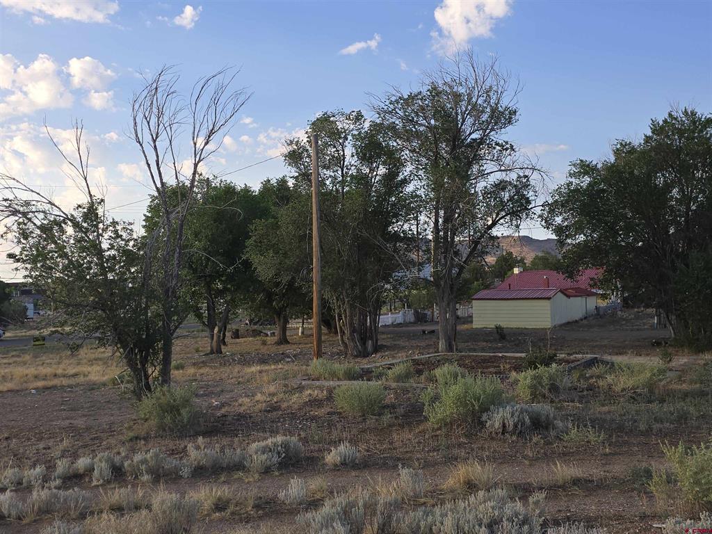 1035 8th Street Del Norte CO 81132