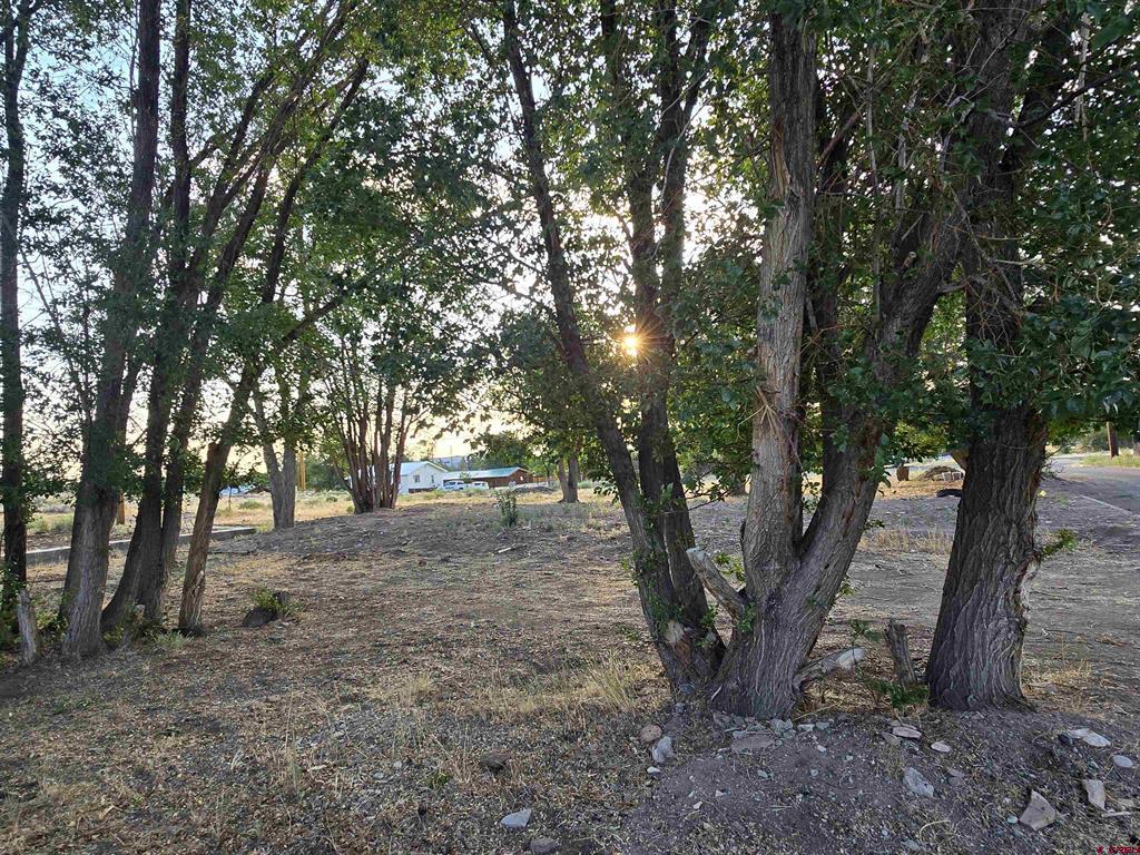 1035 8th Street Del Norte CO 81132