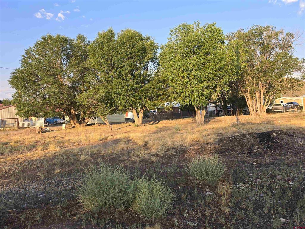 1035 8th Street Del Norte CO 81132
