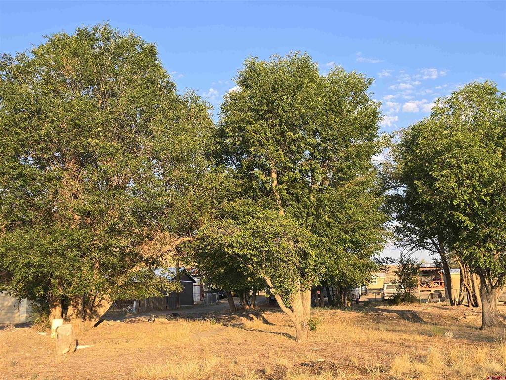 1035 8th Street Del Norte CO 81132