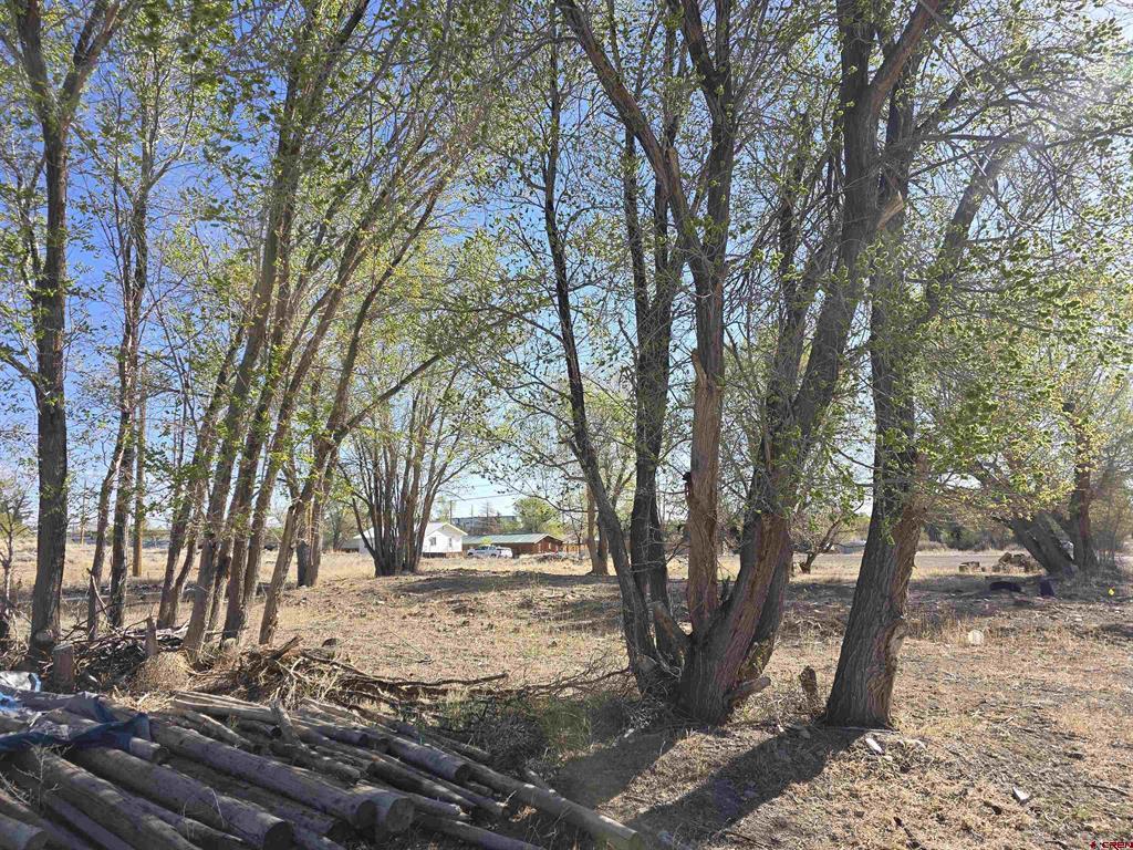 1035 8th Street Del Norte CO 81132