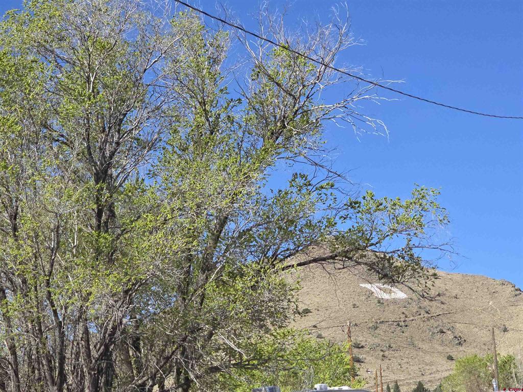 1035 8th Street Del Norte CO 81132