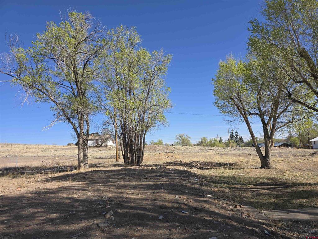 1035 8th Street Del Norte CO 81132