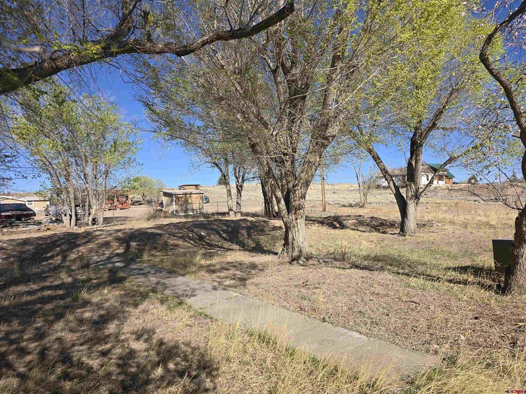 1035 8th Street Del Norte CO 81132