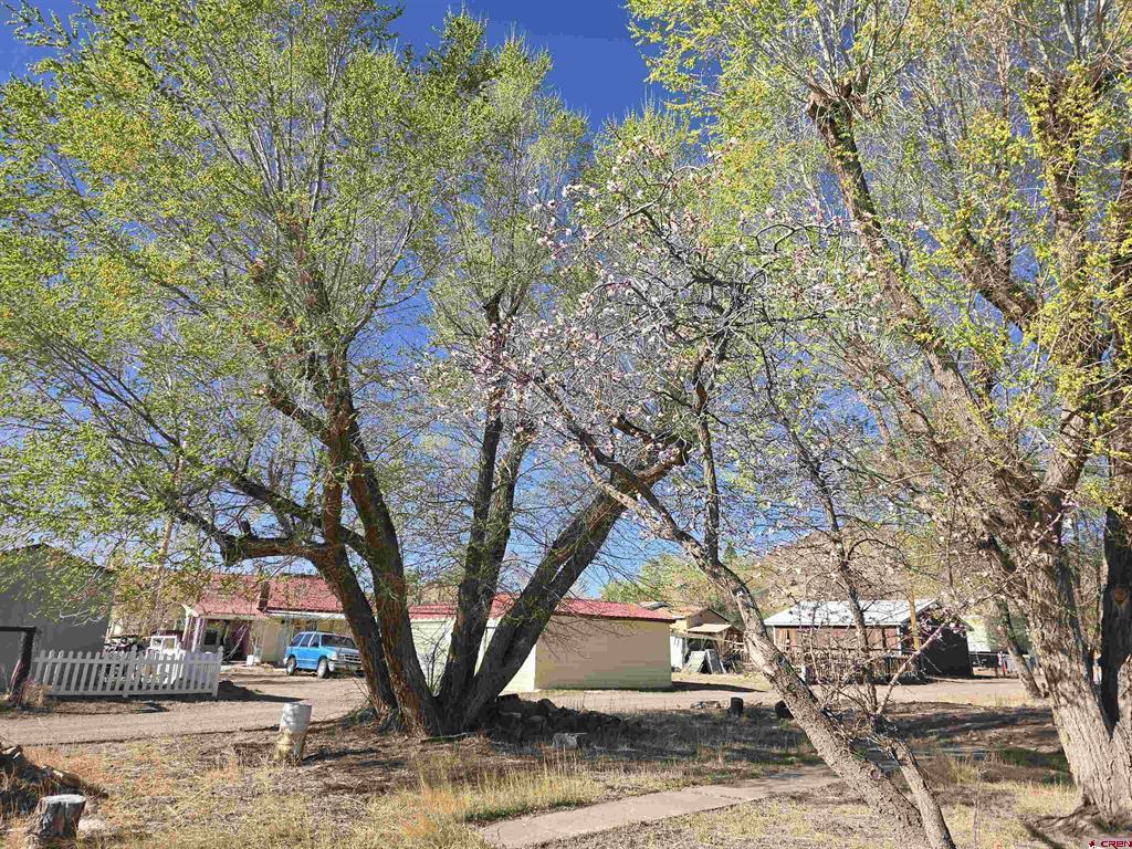 1035 8th Street Del Norte CO 81132