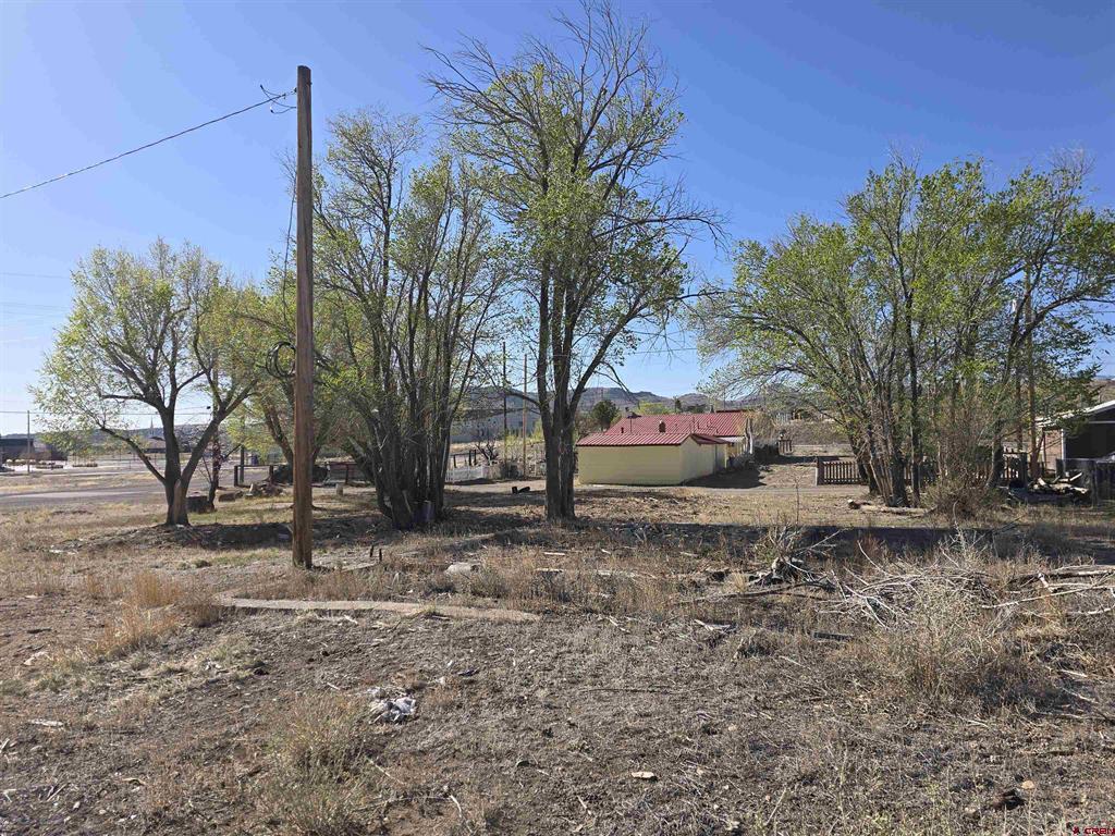 1035 8th Street Del Norte CO 81132