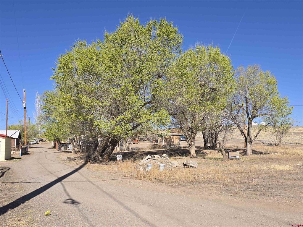1035 8th Street Del Norte CO 81132