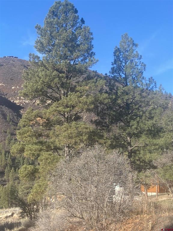 57 Wild Iris Durango CO 81301