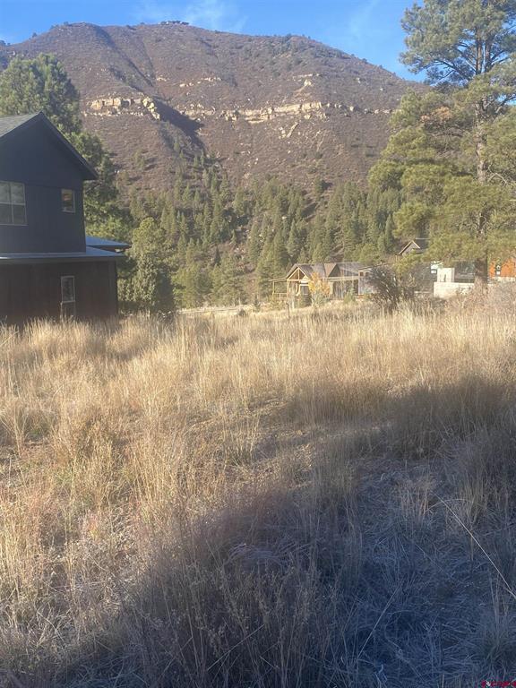 57 Wild Iris Durango CO 81301