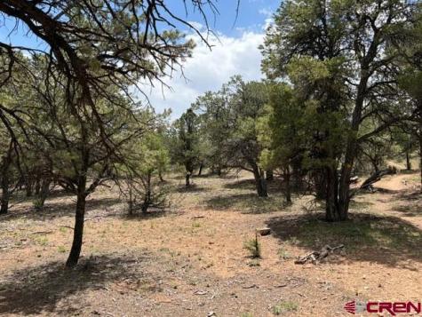Lot 4 Pine Ridgway CO 81432