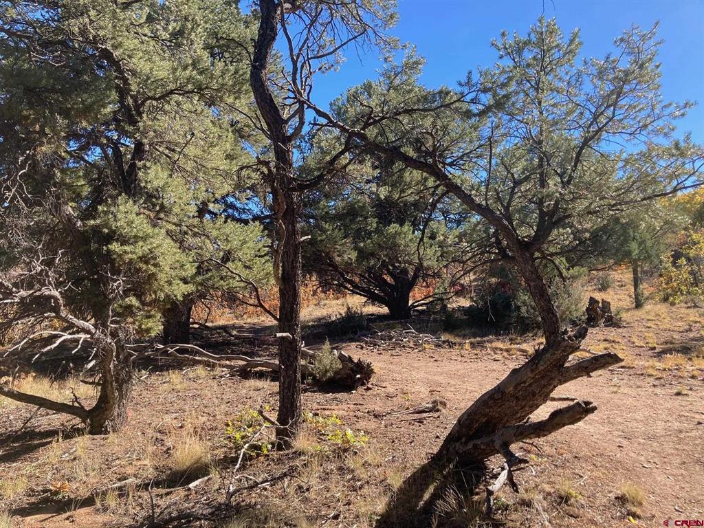 Lot 4 Pine Drive Ridgway CO 81432