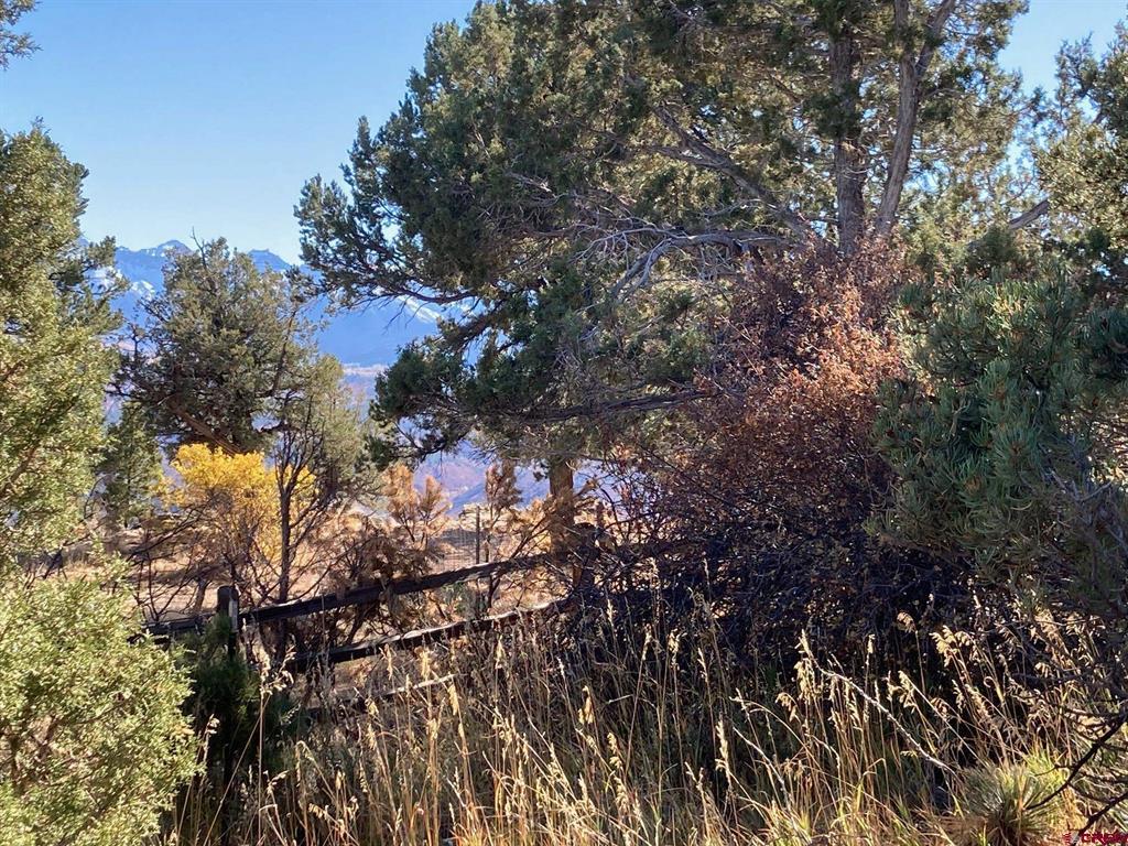 Lot 4 Pine Drive Ridgway CO 81432