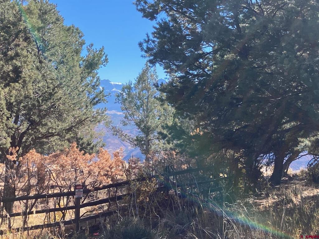 Lot 4 Pine Drive Ridgway CO 81432