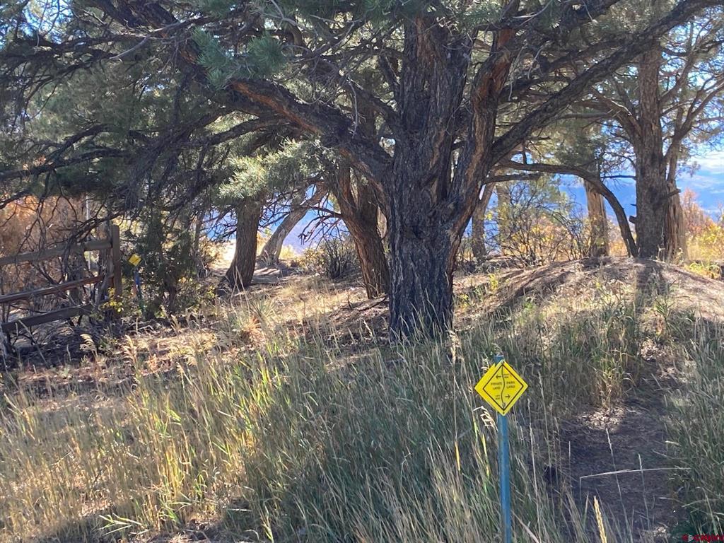 Lot 4 Pine Drive Ridgway CO 81432