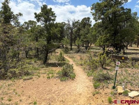 Lot 4 Pine Ridgway CO 81432