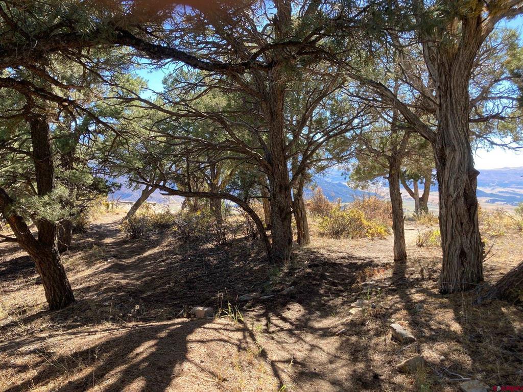 Lot 4 Pine Drive Ridgway CO 81432