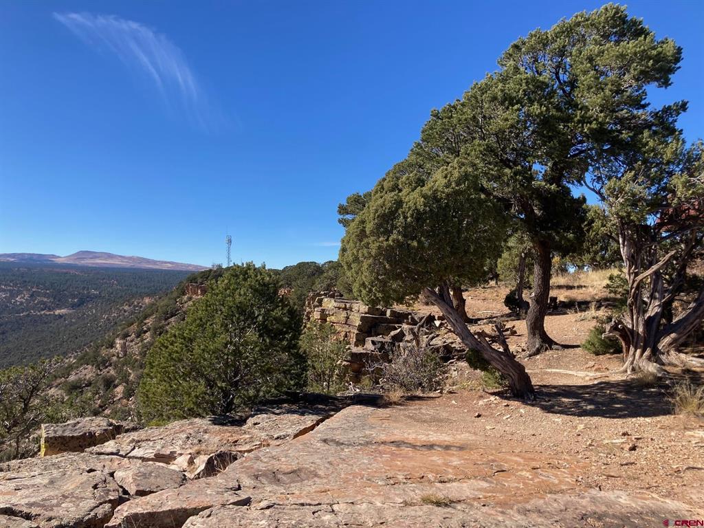 Lot 4 Pine Drive Ridgway CO 81432