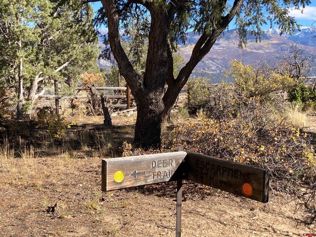 Lot 4 Pine Drive Ridgway CO 81432