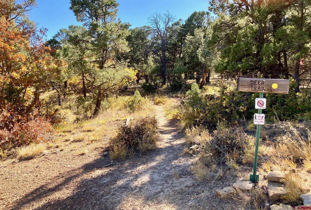 Lot 4 Pine Drive Ridgway CO 81432