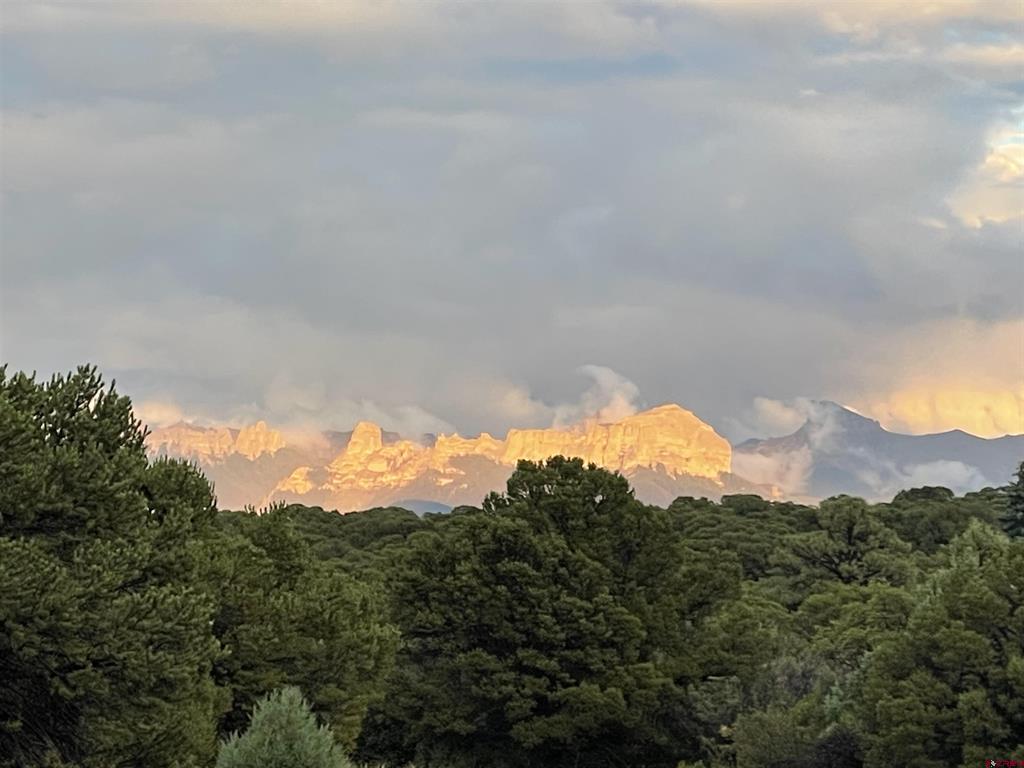 Lot 4 Pine Drive Ridgway CO 81432