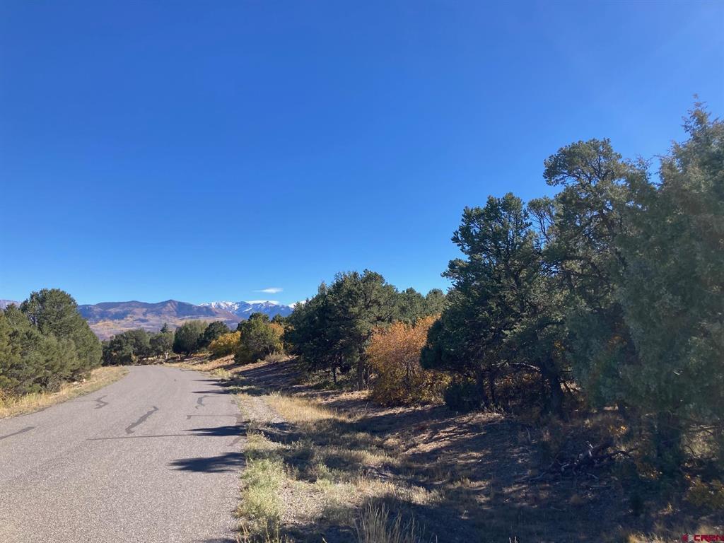 Lot 4 Pine Drive Ridgway CO 81432