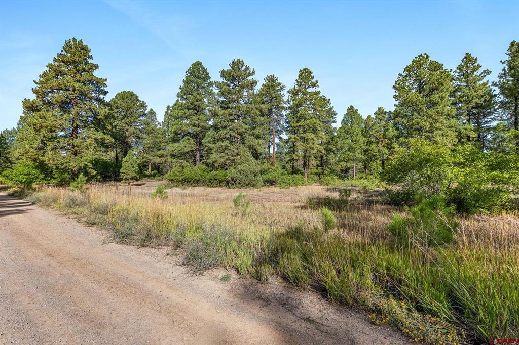 Tbd Vaquero Way Durango CO 81303