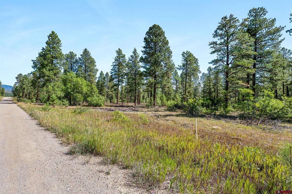 Tbd Vaquero Way Durango CO 81303