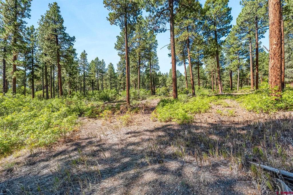 Tbd Vaquero Way Durango CO 81303