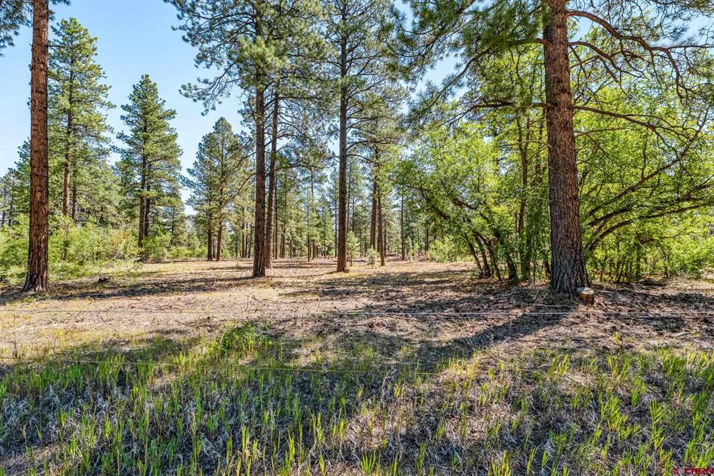 Tbd Vaquero Way Durango CO 81303