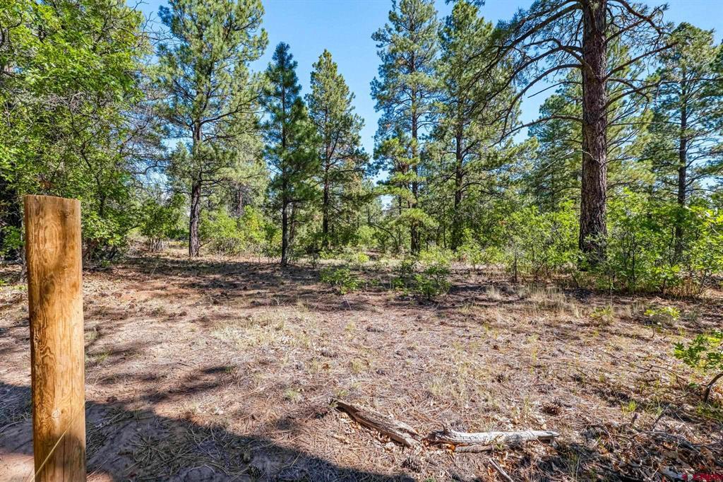 Tbd Vaquero Way Durango CO 81303