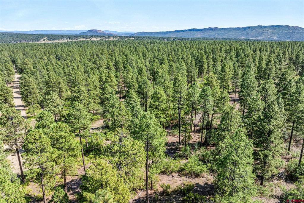 Tbd Vaquero Way Durango CO 81303