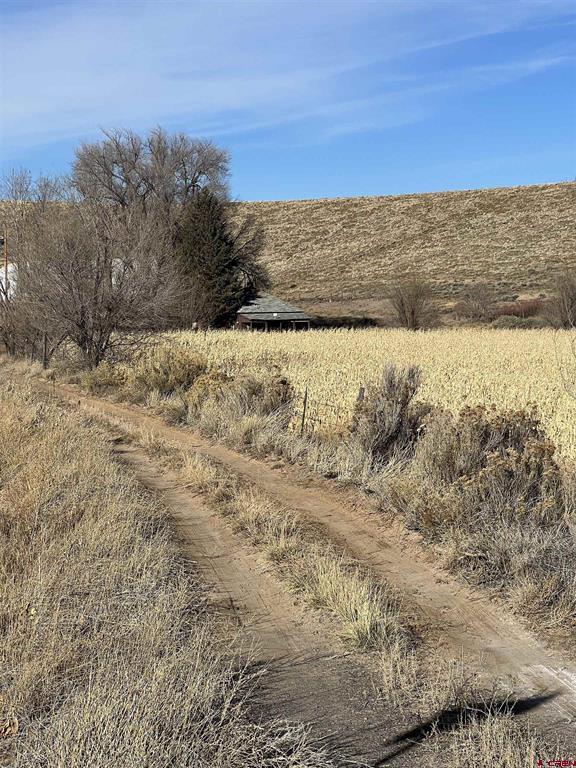 Tbd Kiowa Road Montrose CO 81403