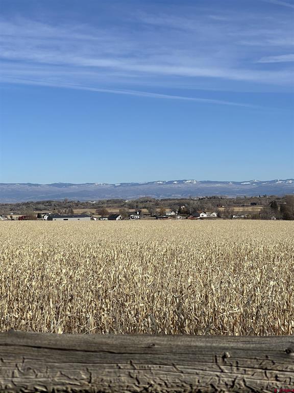 Tbd Kiowa Road Montrose CO 81403